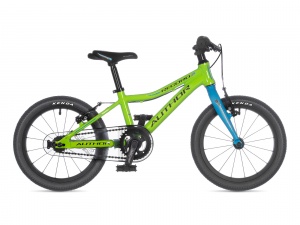 Author RECORD 16 2021