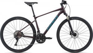 GIANT Roam 0 Disc 2021