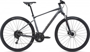 GIANT Roam 2 Disc 2021